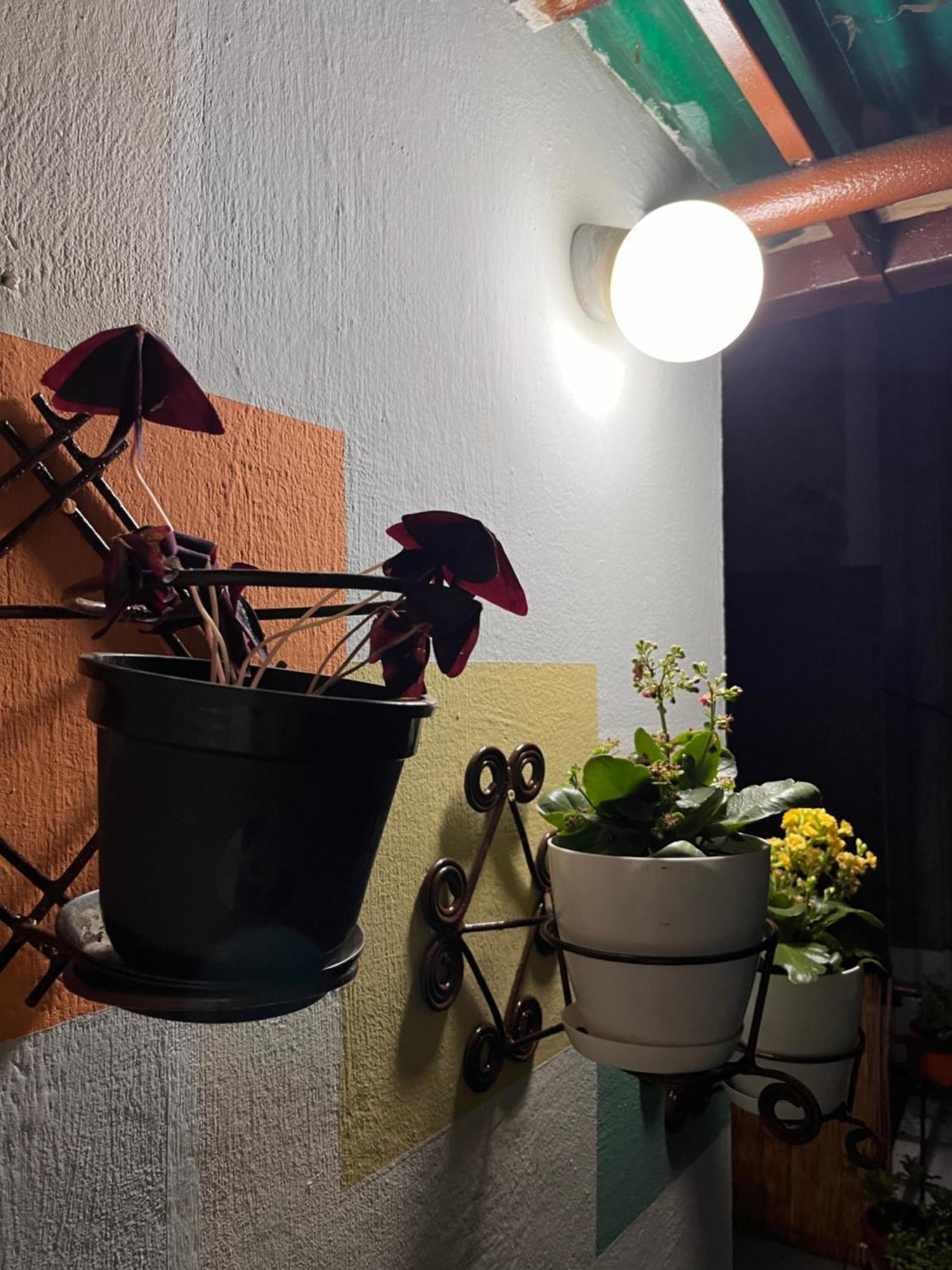 Garden Old Town Apartment